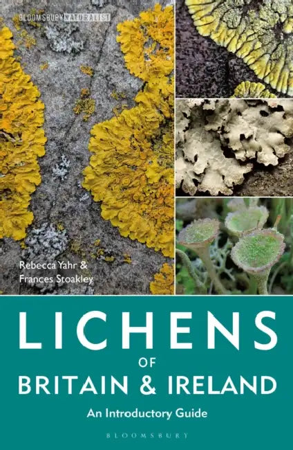 Lichens of Britain and Ireland: An Introductory Guide by Dr Rebecca Yahr