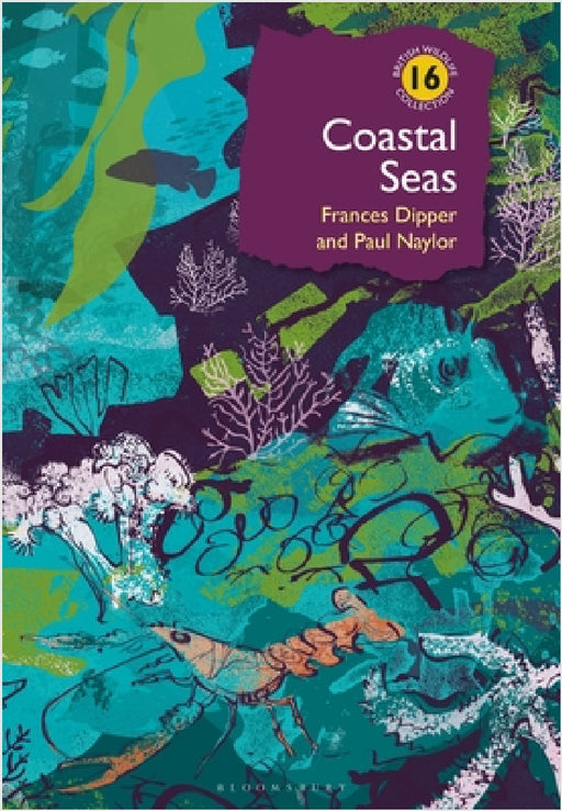 Coastal Seas by Dr Frances Dipper