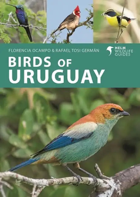 Birds of Uruguay by Florencia Ocampo