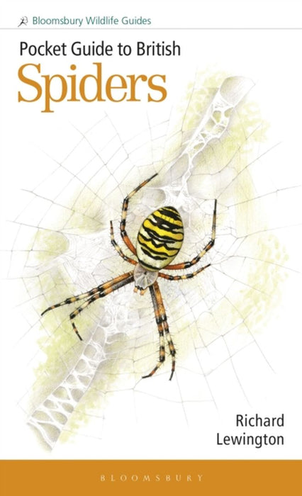 Pocket Guide to British Spiders by Richard Lewington