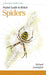 Pocket Guide to British Spiders by Richard Lewington