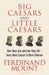 Big Caesars and Little Caesars: How They Rise and How They Fall - From Julius Caesar to Boris Johnson by Ferdinand Mount