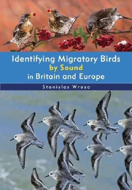 Identifying Migratory Birds by Sound in Britain and Europe by Stanislas Wroza