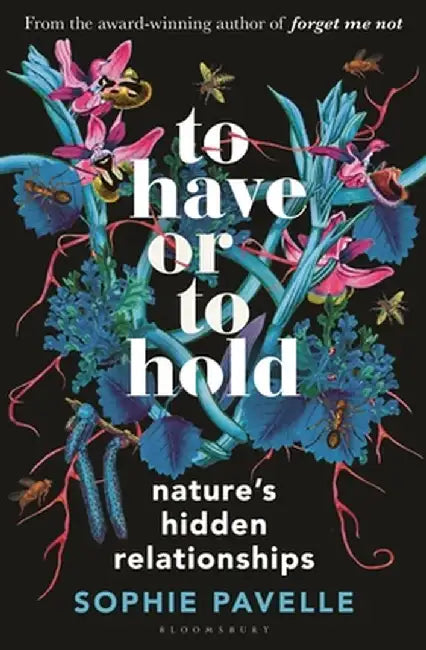 To Have or To Hold by Sophie Pavelle