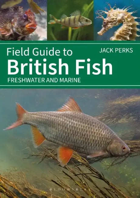 Field Guide to British Fish by Jack Perks