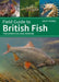 Field Guide to British Fish by Jack Perks