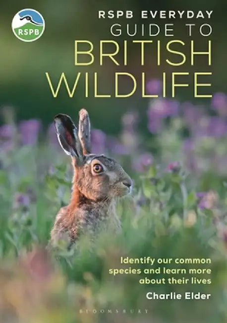 The Rspb Everyday Guide to British Wildlife: Identify Our Common Species and Learn More about Their Lives by Charlie Elder