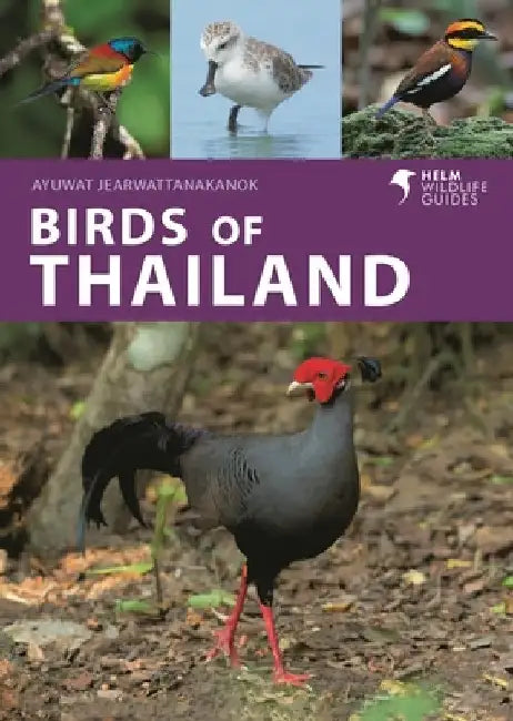 Birds of Thailand by Ayuwat Jearwattanakanok
