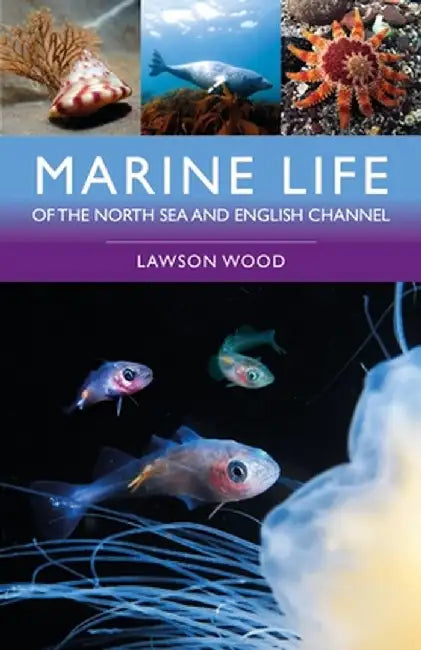 Marine Life of the North Sea and English Channel by Lawson Wood
