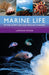 Marine Life of the North Sea and English Channel by Lawson Wood