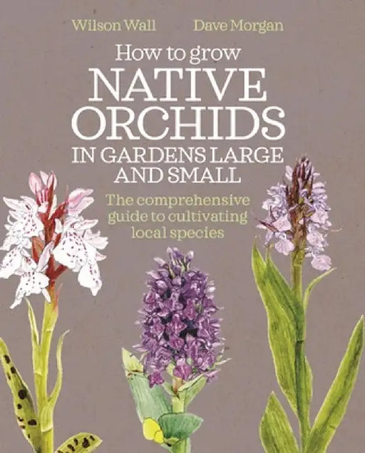 How to Grow Native Orchids in Gardens Large and Small: The Comprehensive Guide to Cultivating Local Species by Wilson Wall