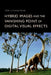 Hybrid Images and the Vanishing Point of Digital Visual Effects by Tom Livingstone