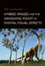 Hybrid Images and the Vanishing Point of Digital Visual Effects by Tom Livingstone