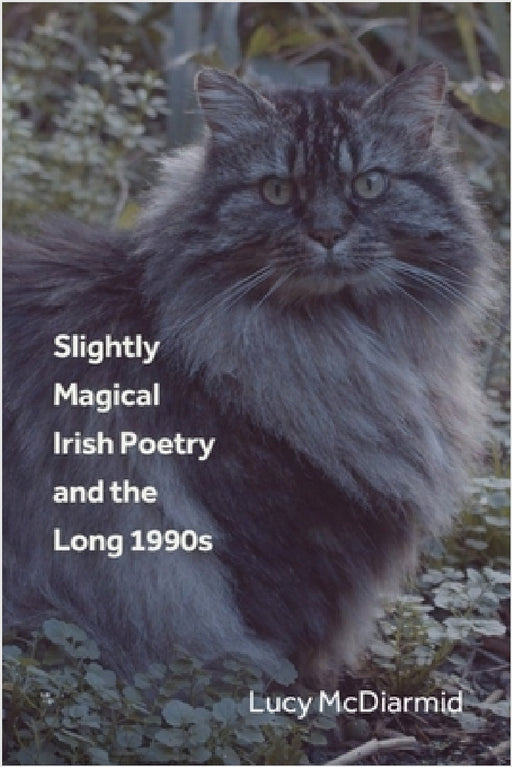 Slightly Magical Irish Poetry and the Long 1990s by Lucy McDiarmid