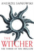The Tower Of The Swallow (Reissue): The Witcher 4 by Sapkowski, Andrzej
