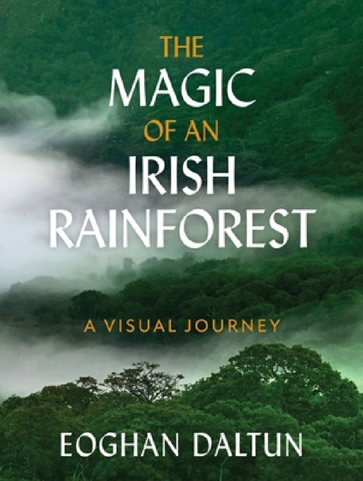 The Magic of an Irish Rainforest by Eoghan Daltun