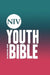 Niv Youth Bible Hardback by New International Version