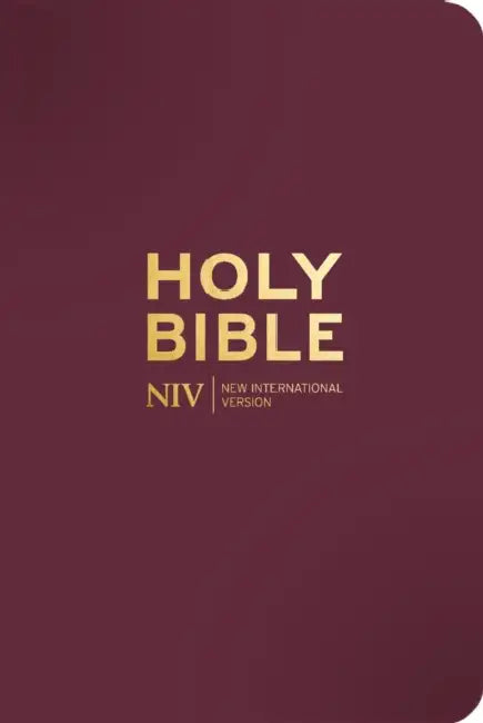NIV Pocket Mulberry Bible with Gold Zip by New International Version