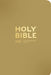 NIV Pocket Latte Bible with Gold Zip by New International Version