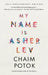 My Name Is Asher Lev by Chaim Potok