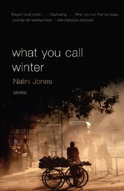 What You Call Winter by Nalini Jones