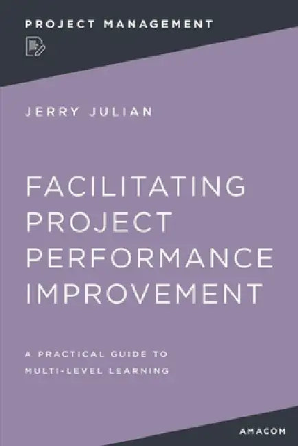 Facilitating Project Performance Improvement: A Practical Guide to Multi-Level Learning by Jerry Julian