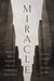 Miracle: The Boys Who Escaped the Gas Chamber at Auschwitz by Michael Calvin, Naftali Schiff