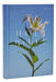 NRSV Catholic Edition Bible, Easter Lily Hardcover (Global Cover Series): Holy Bible by Catholic Bible Press