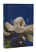 NRSV Catholic Edition Bible, Magnolia Hardcover (Global Cover Series): Holy Bible by Catholic Bible Press