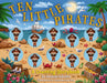 Ten Little Pirates: A Counting Storybook by Amanda Sobotka, James Newman Gray