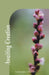 Awaiting Creation by Gail Kadison Golden