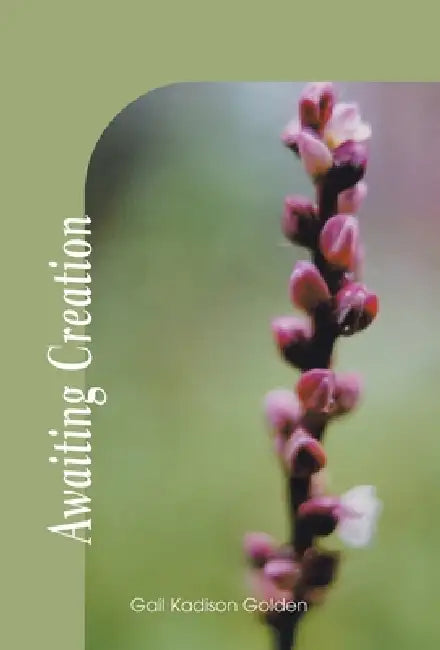 Awaiting Creation by Gail Kadison Golden