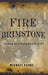 Fire and Brimstone: The North Butte Mine Disaster of 1917 by Michael Punke
