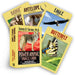 Power Animal Oracle Cards: Practical and Powerful Guidance from Animal Spirit Guides by Steven D. Farmer