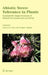 Abiotic Stress Tolerance in Plants: Toward the Improvement of Global Environment and Food by Ashwani K. Rai, Teruhiro Takabe