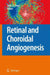 Retinal And Choroidal Angiogenesis by John Penn