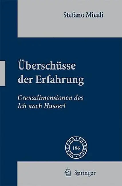 Überschüsse Der Erfahrung: Grenzdimensionen Des Ich Nach Husserl by Stefano Micali