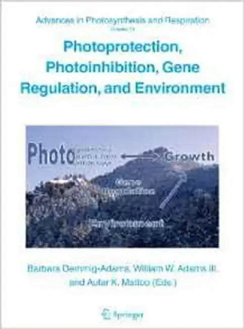Photoprotection, Photoinhibition, Gene Regulation, And Environment by Barbara Demmig-Adams, William Adams, A. Mattoo
