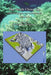 The South China Sea: Paleoceanography and Sedimentology by Pinxian Wang