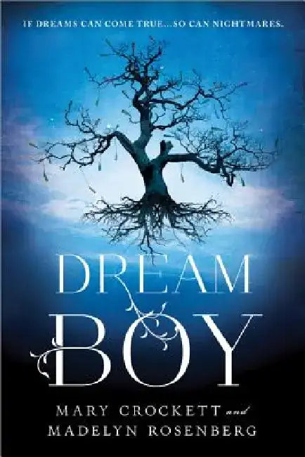 Dream Boy by Madelyn Rosenberg