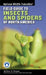 National Wildlife Federation Field Guide to Insects and Spiders & Related Species of North America by Arthur V. Evans
