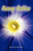 Funny Follies by Richard Edgar Zwez