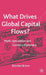 What Drives Global Capital Flows?: Myth, Speculation and Currency Diplomacy by B. Brown