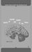 Ghosts of Theatre and Cinema in the Brain by M. Pizzato