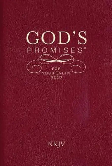 God's Promises for Your Every Need, NKJV by Jack Countryman