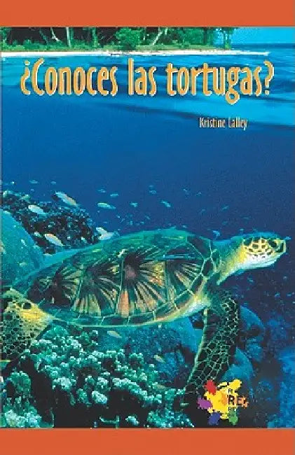 Conoces Las Tortugas by Kristine Lalley