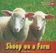 Sheep on a Farm by Abbie Mercer