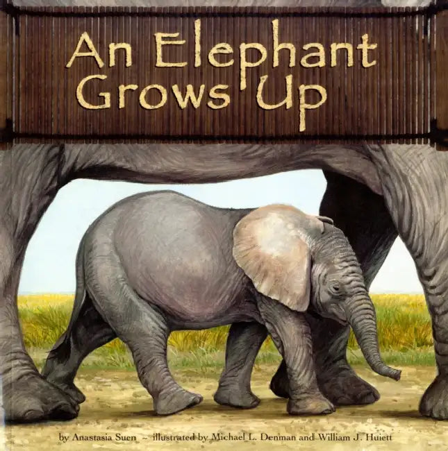 An Elephant Grows Up by Anastasia Suen, Michael L. Denman, William J. Huiett