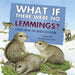 What If There Were No Lemmings?: A Book about the Tundra Ecosystem by Suzanne Slade