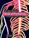 Case-Based Medical Physiology by Christopher Bell